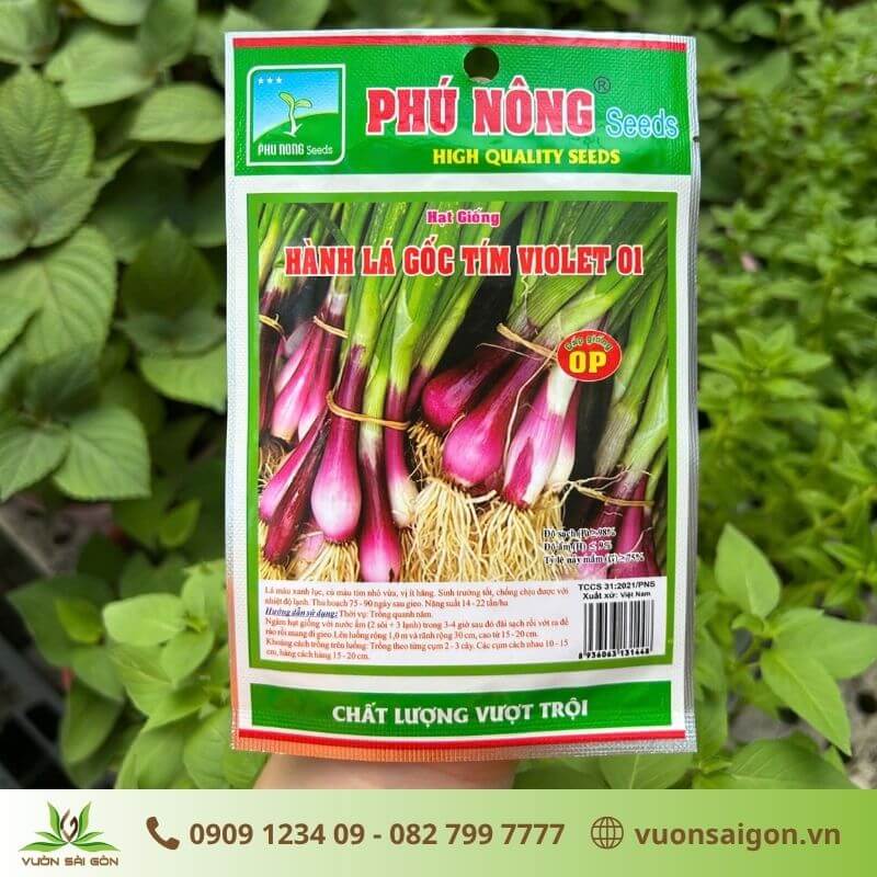Hạt giống hành lá gốc tím
