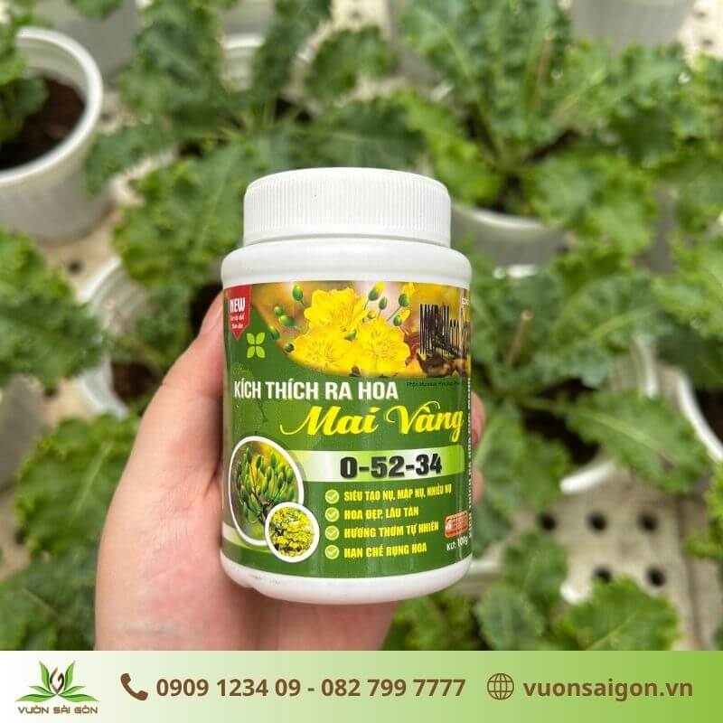 Phân Bón Kích Thích Ra Hoa Mai Vàng 0-52-34