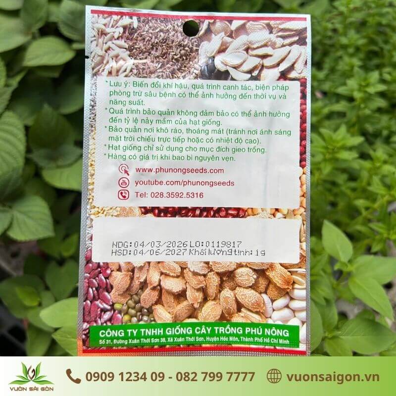 Thông số kỹ thuật hạt giống hành lá gốc tím Violet 01